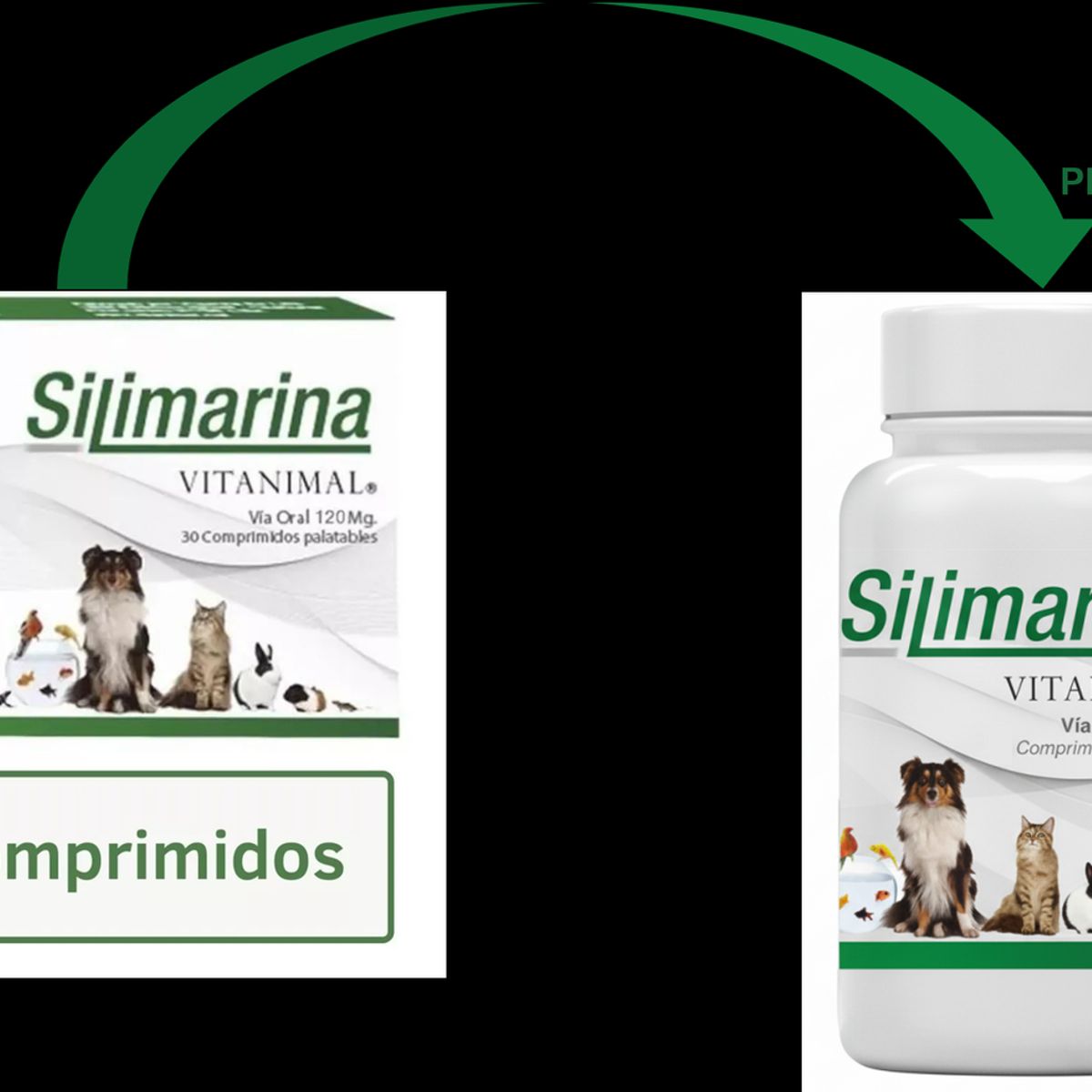GENERICO - Silimarina Vitanimal Suplemento Perros Gatos 30 Comprimidos