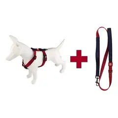 GIGWI - Arnés Harness + Correa Reflectante Para Perros Talla L Rojo/azul Circunferencia De Pecho (40-6