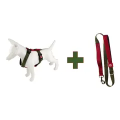 GIGWI - Arnés Harness + Correa Reflectante Para Perro Talla Xl Verde/rojo Circunferencia De Pecho (58-