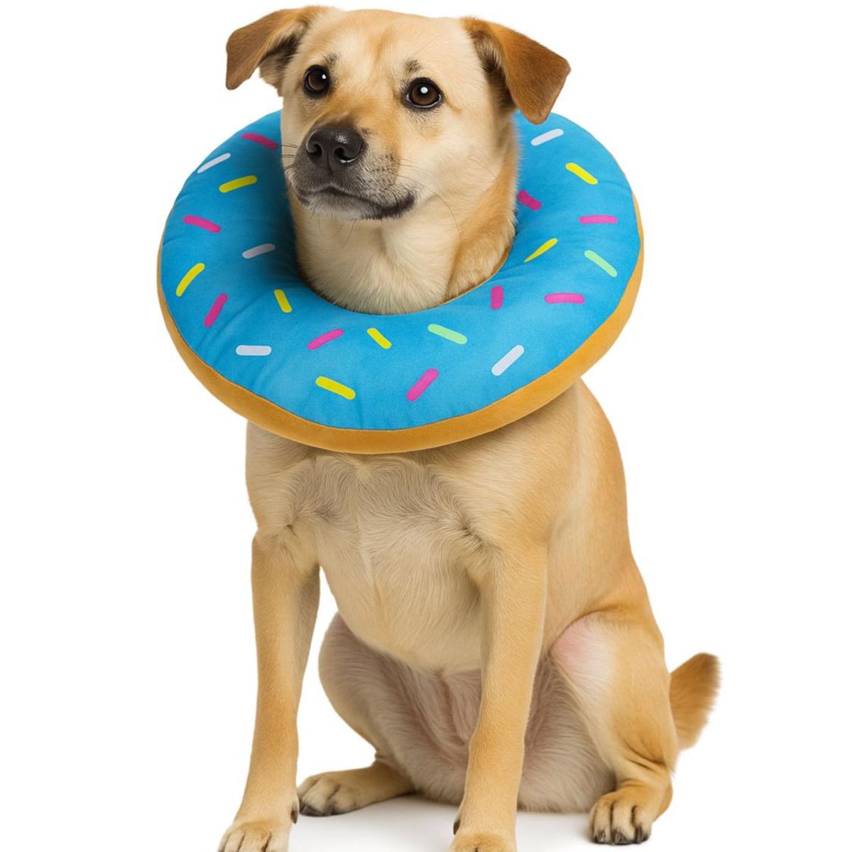 Collar Dona Para Mascotas Anti-lamido Talla XL - Celeste - XL, marca GENERICO - Foto Principal
