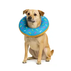 GENERICO - Collar Dona Para Mascotas Anti-lamido Talla XL - Celeste - XL