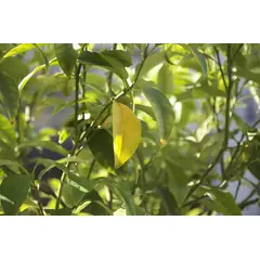 GENERICO - IMagem Nova