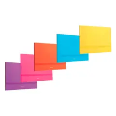 DATA ZONE - Carpeta Cartera A4 Un Elástico Surtidos Softcolot Datazone