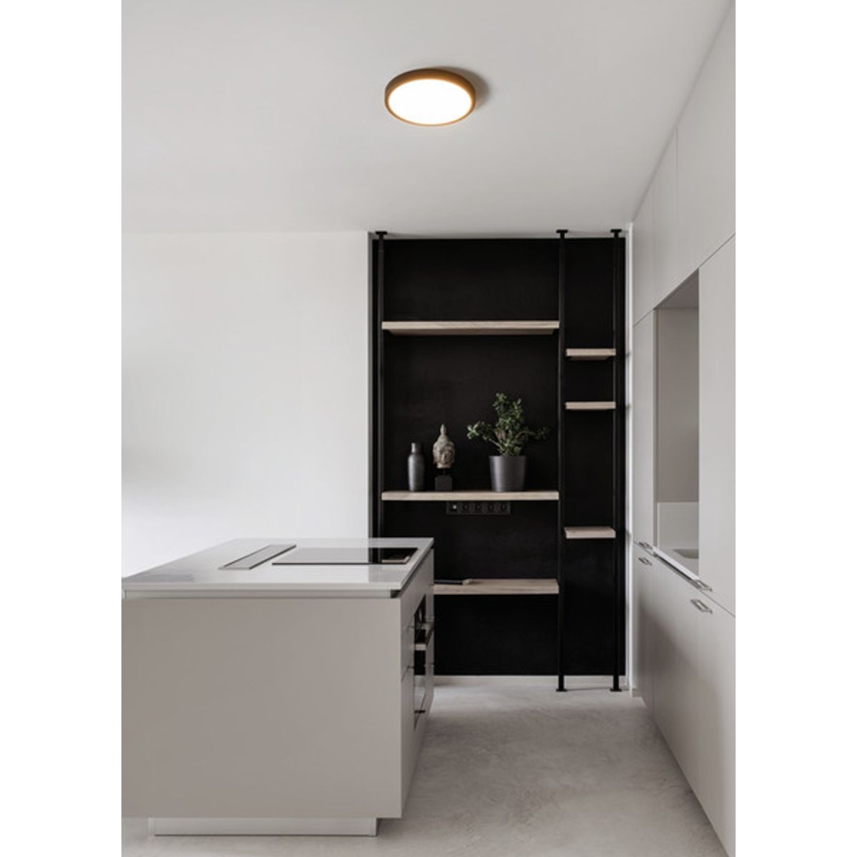 EGLO - Foco Plafon Sobrepuesto Led Regulable Calida Neutra Fria Diam 28cm 14w