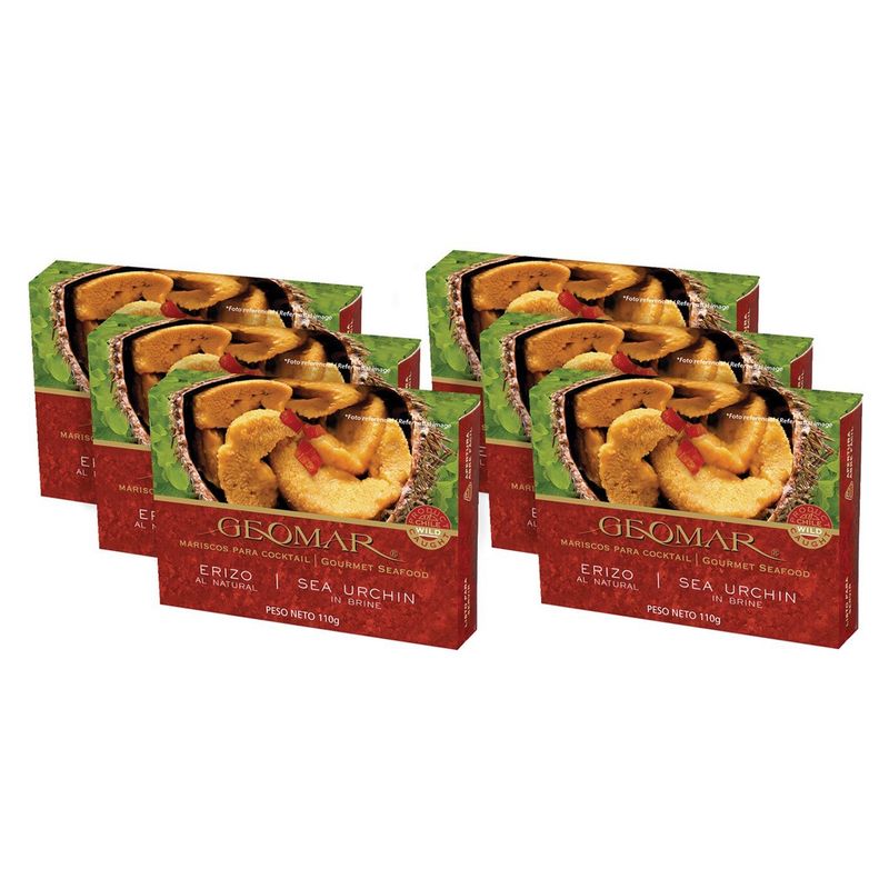 GEOMAR - Pack 6 Erizos