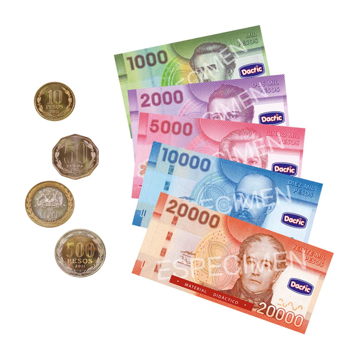 DACTIC - Juego de Mesa Billete y Moneda Dactic