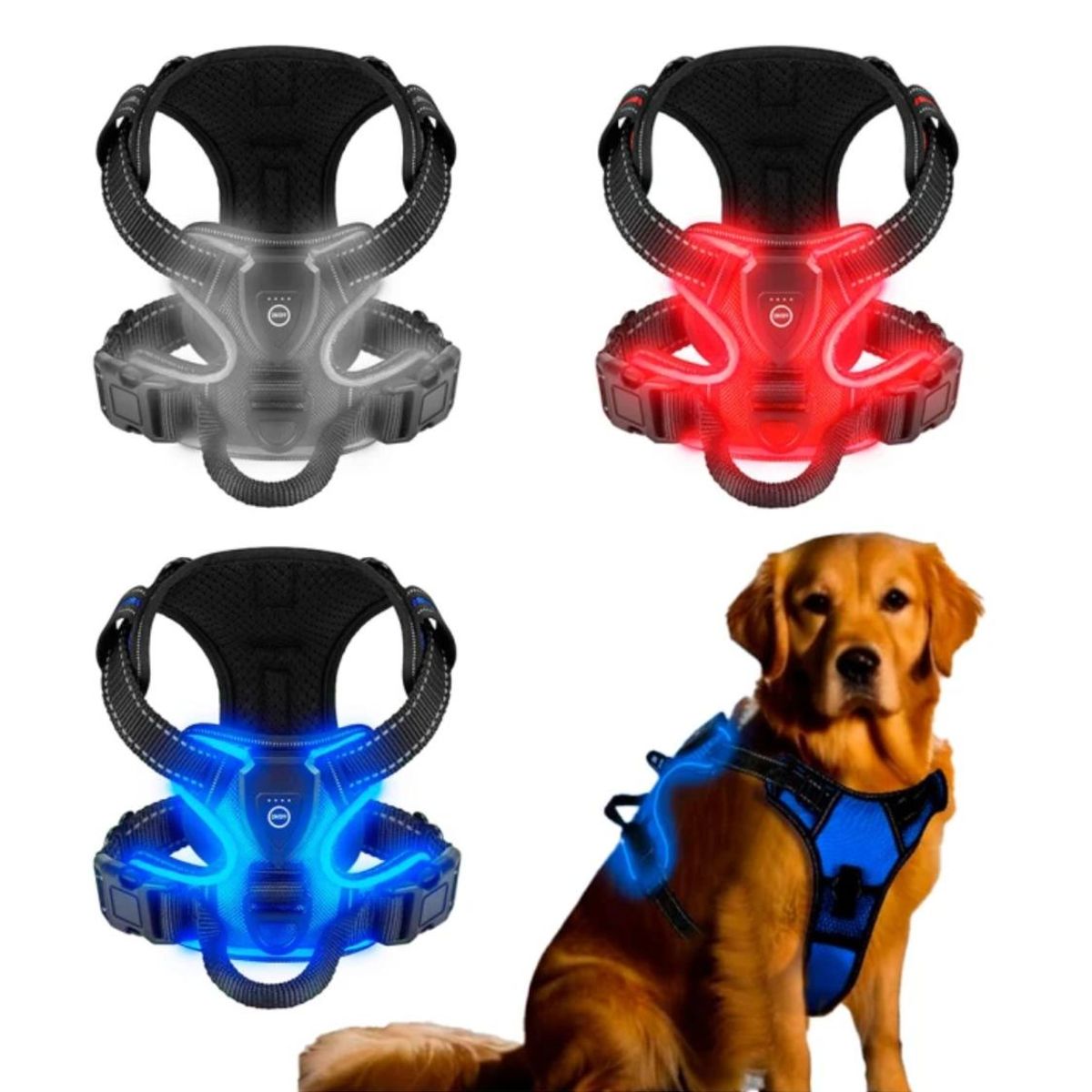 GENERICO - Arnés Luz LED Azul para Perro Mediano USB-C Talla M