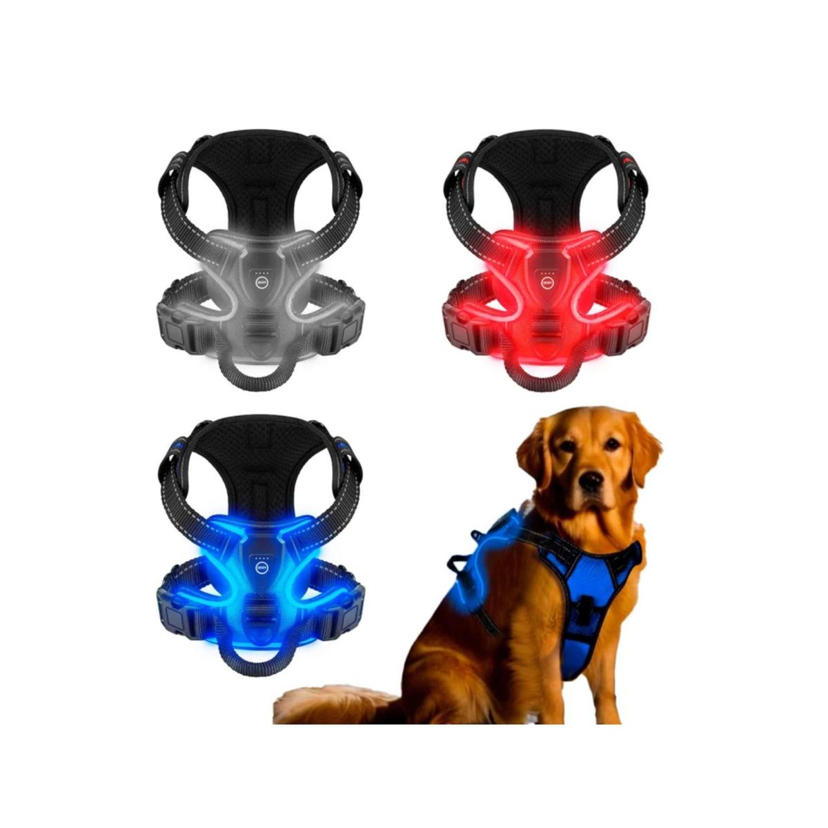 GENERICO - Arnés Luz LED Azul para Perro Mediano USB-C Talla M