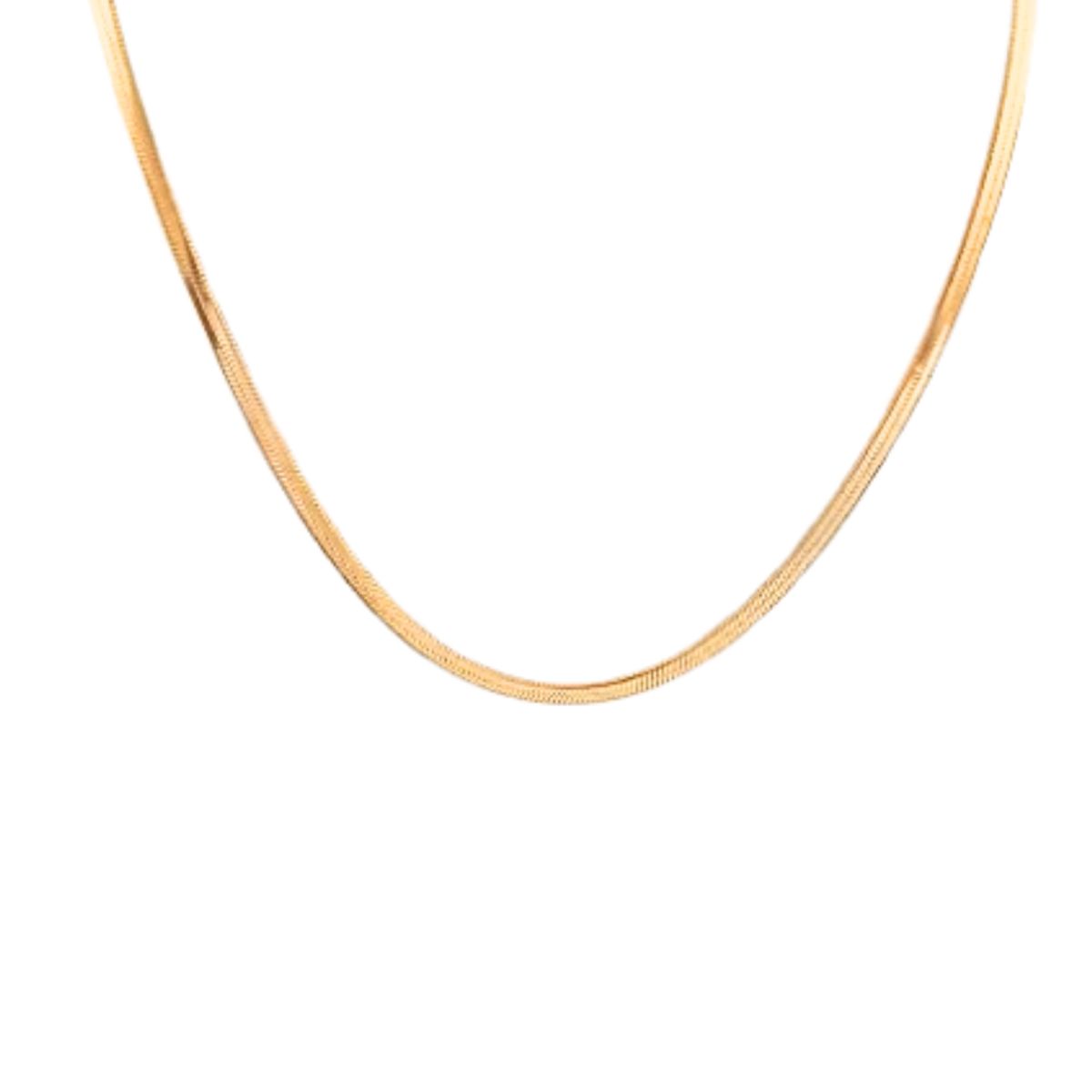 GENERICO - Gargantilla - Choker Serpiente acero dorado