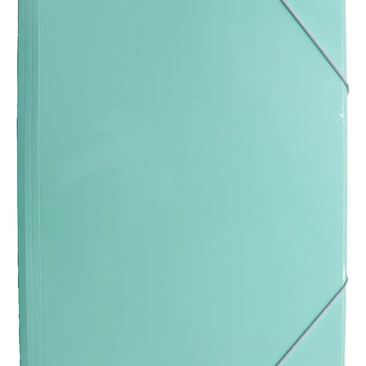 ADETEC - Carpeta Adetec Oficio Con Elástico 1 Unidad - Verde Claro