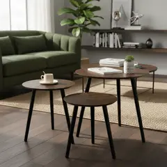 EVERSO - Set De 3 Mesa Centro Minimalista Madera Redonda Decorativa