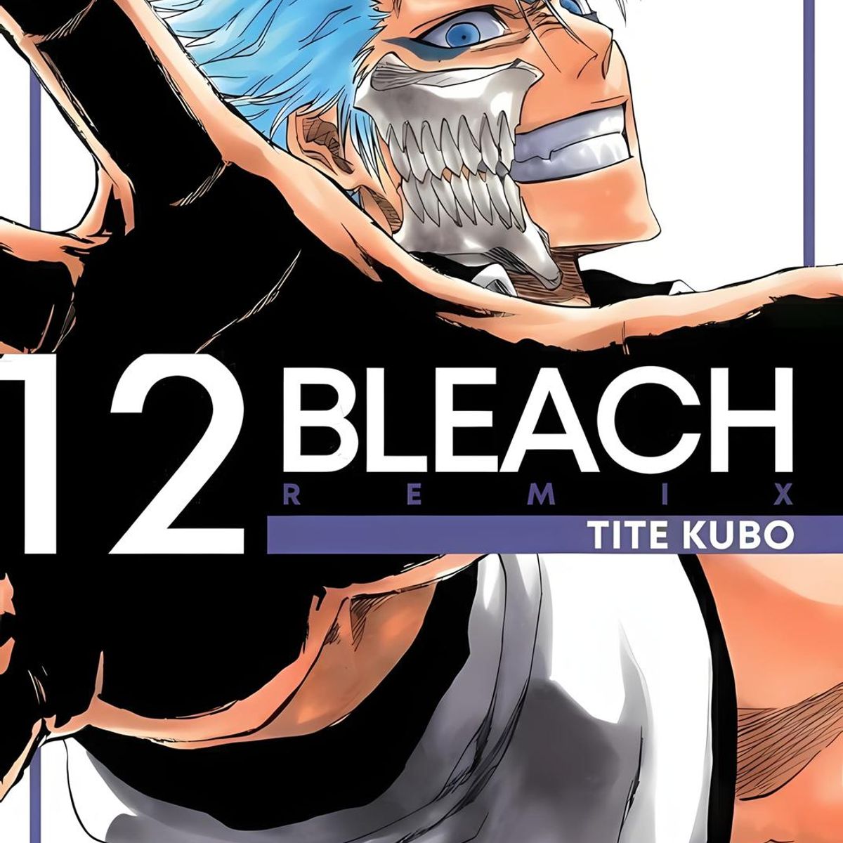 IVREA - Manga Bleach Remix 12