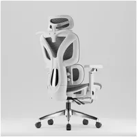 Silla De Oficina Ergonomica Pata Acero Con Colgador De Ropa Sporte Lumbar H05