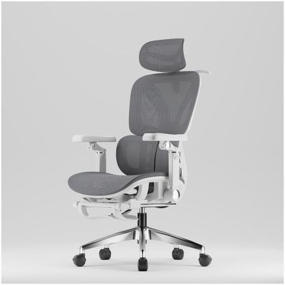 Imagen 2 del producto Silla De Oficina Ergonomica Pata Acero Con Colgador De Ropa Sporte Lumbar H05