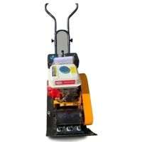 Placa Compactadora A Gasolina 6.5 Hp - 15kn - 60kg