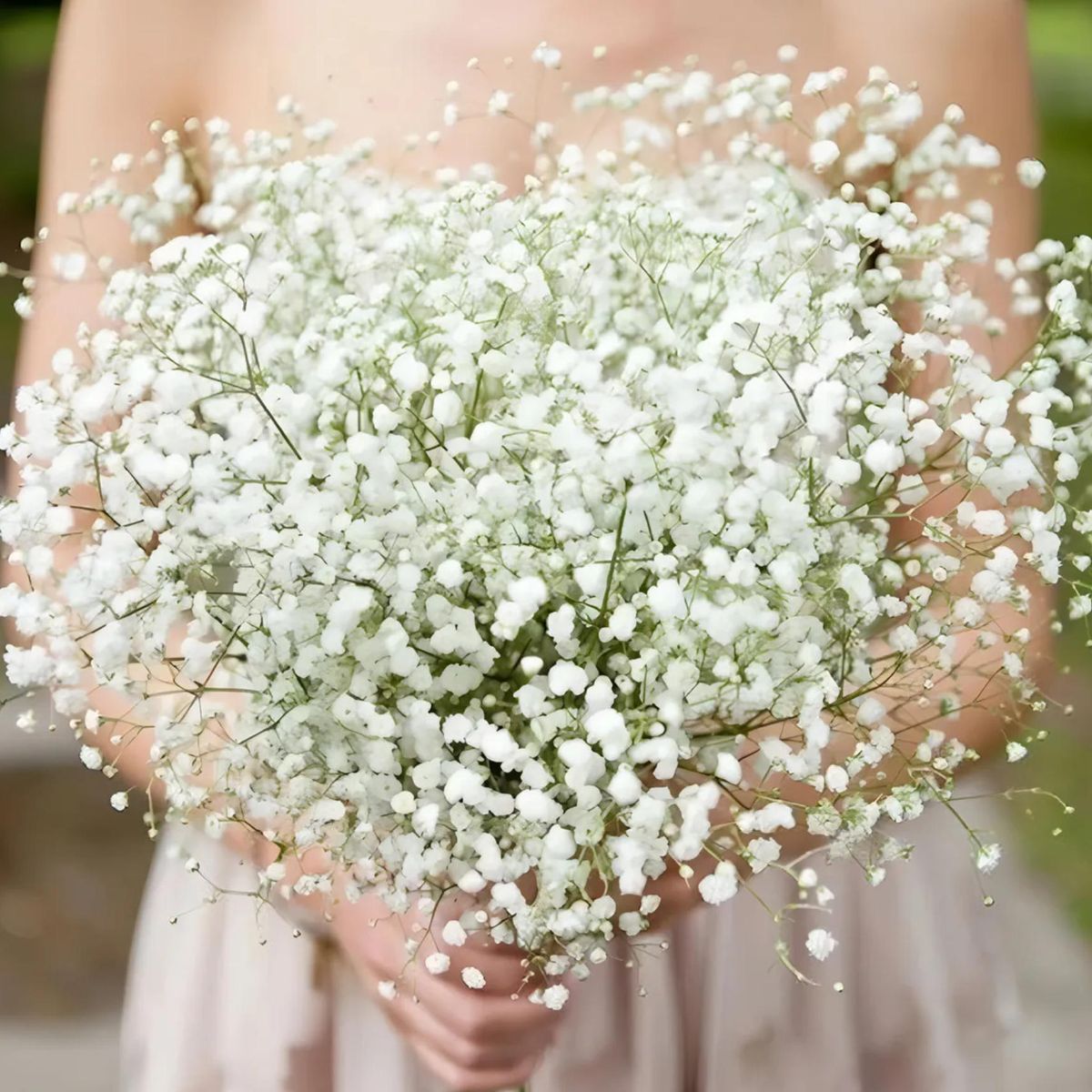 KINDA NICE - Flores Blancas De Gypsophila Flores Artificiales Decorativas
