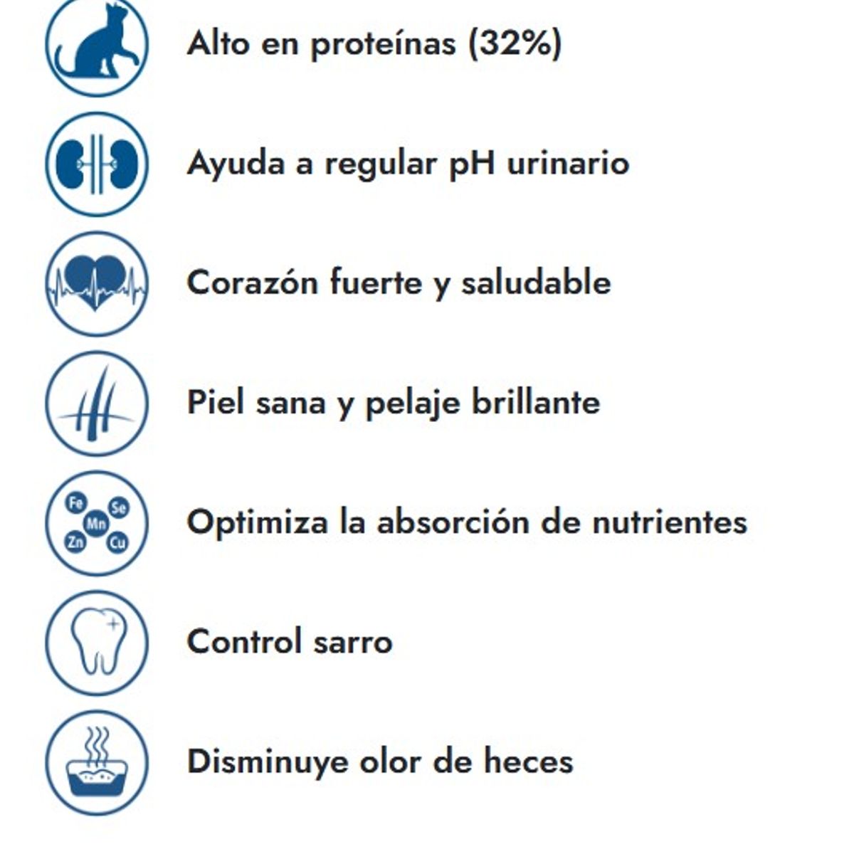 FIT FORMULA - FIT FORMULA GATO 10K