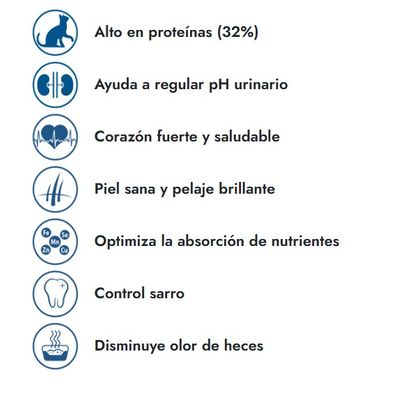 Imagen 2 del producto GATO 10K