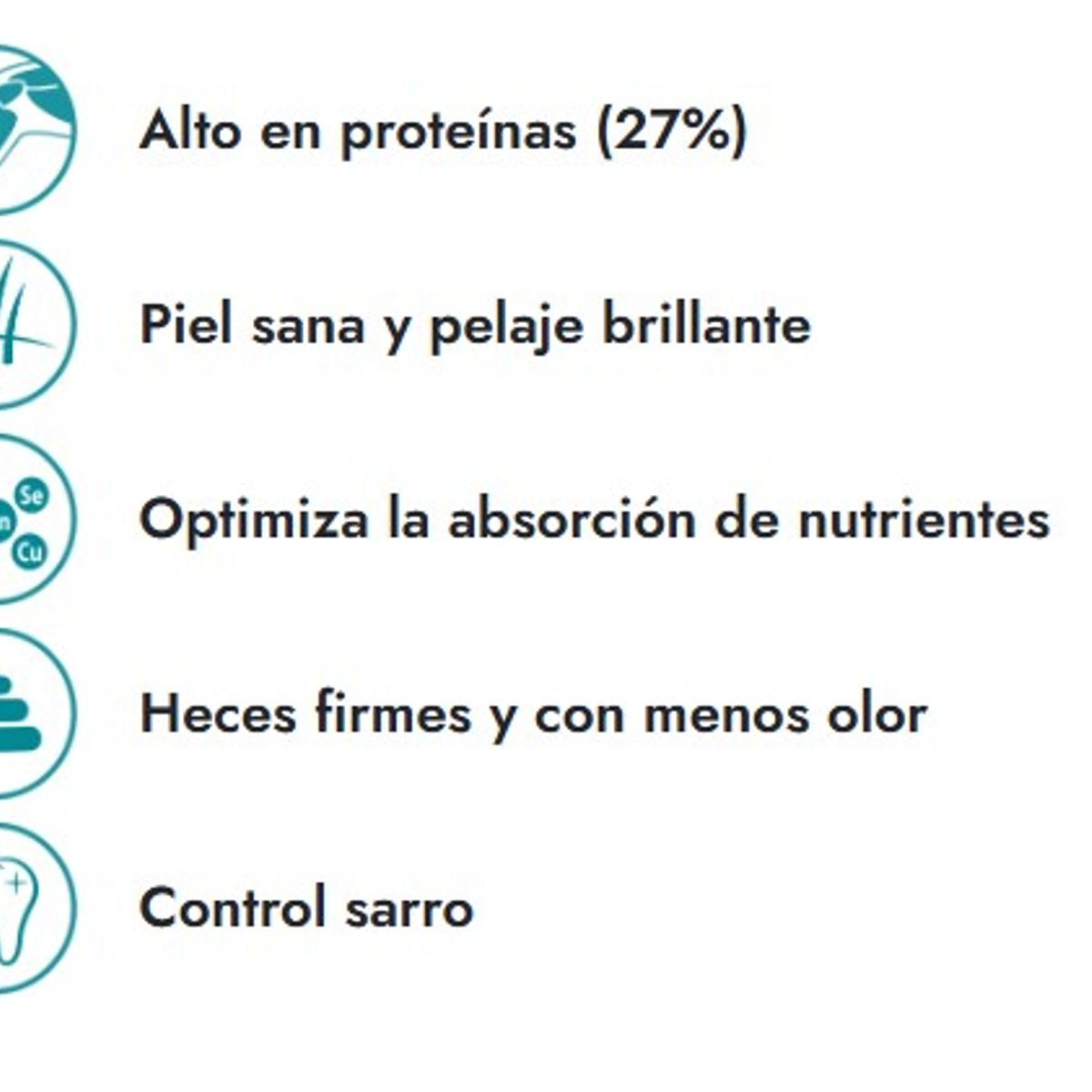 FIT FORMULA - FIT FORMULA ADULTO RAZA PEQUEÑA 10K