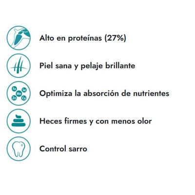 Imagen 2 del producto ADULTO RAZA PEQUEÑA 10K