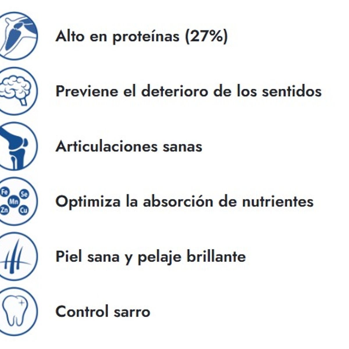 FIT FORMULA - FIT FORMULA  ALIMENTO PREMIUM SENIOR 20K