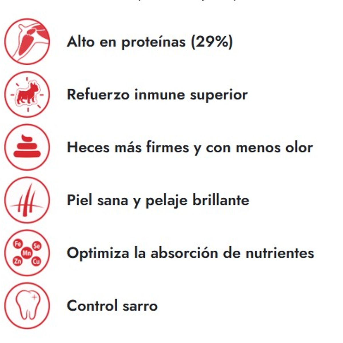 FIT FORMULA - FIT FORMULA CACHORRO 10 KILOS