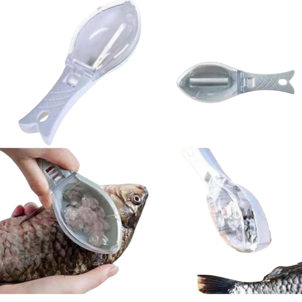 GENERICO - Pelador Removedor Escamas Pescado Cocina