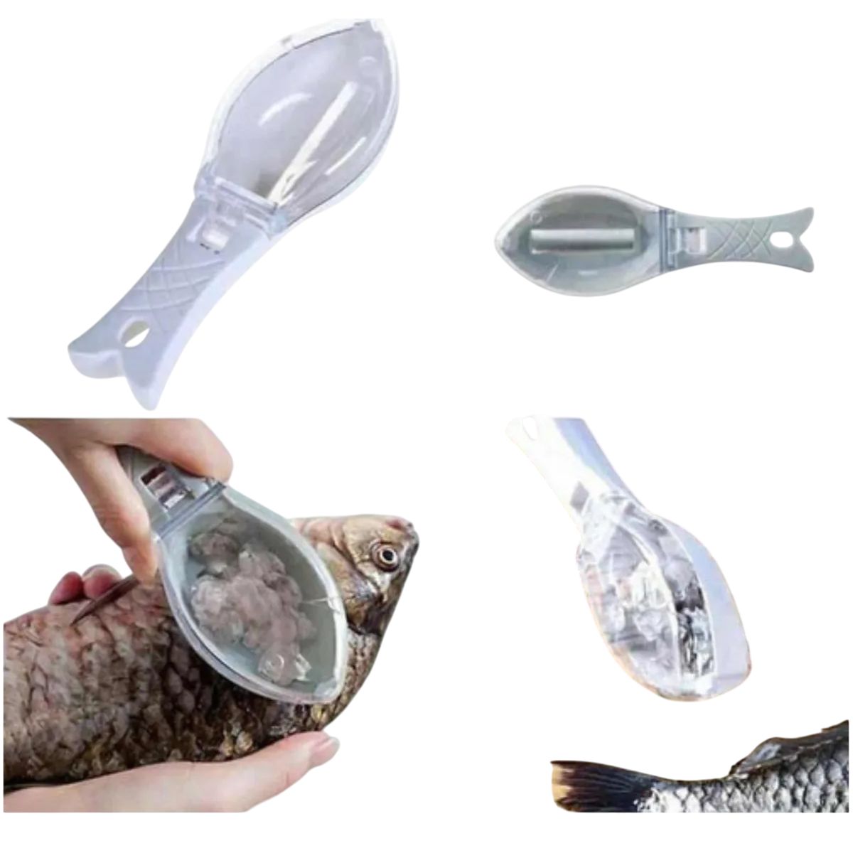 GENERICO - Pelador Removedor Escamas Pescado Cocina