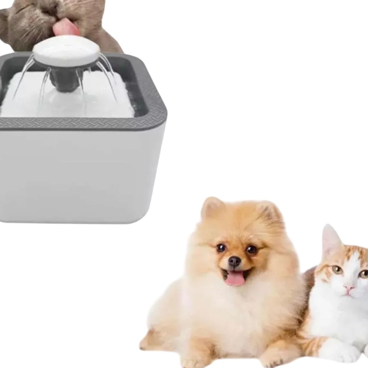GENERICO - Bebedero Fuente De Agua Para Gatos Y Perros