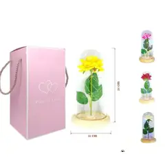 GENERICO - Rosa Eterna Cupula Vidrio Luces Led - Rojo