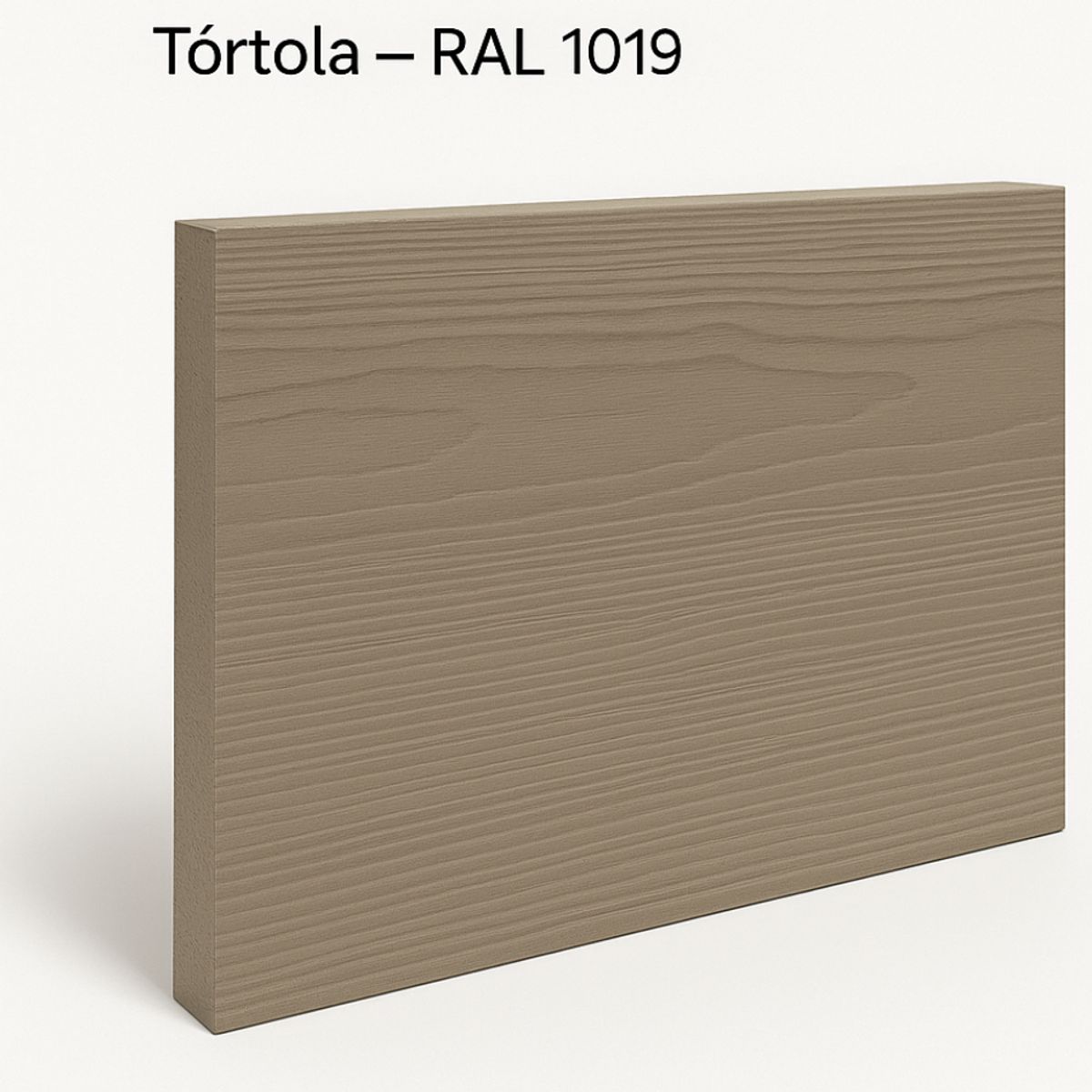 KENT - FIBROCEM SIDING - TINETA 10 LITROS FIBROSEAL™ - TÓRTOLA