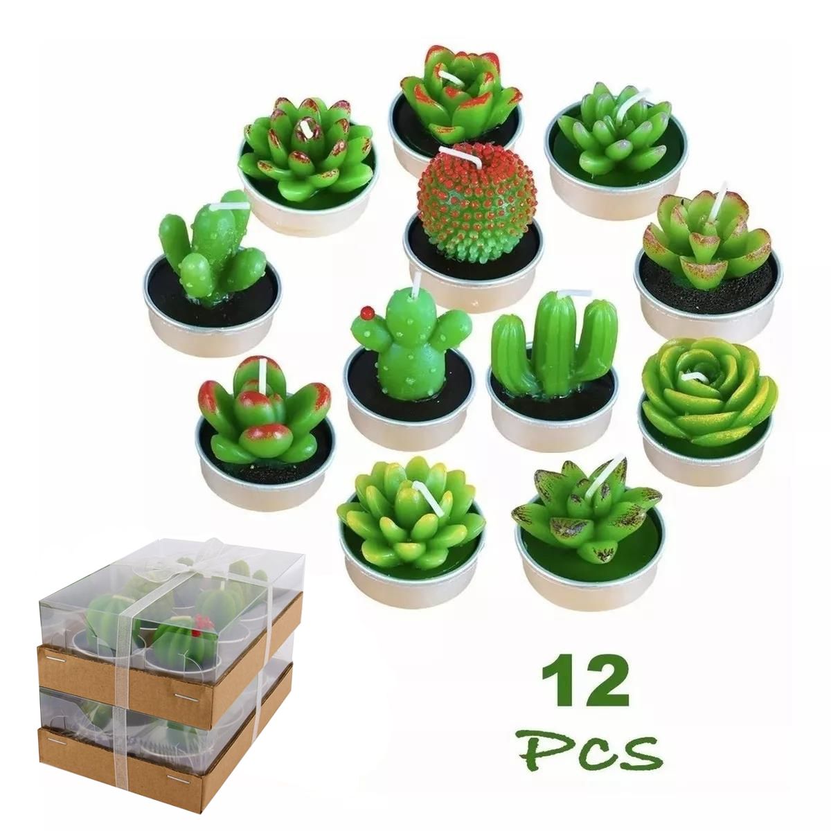 GENERICO - Juego De 12 Velas Cactus Suculentas para Regalos De Navidad