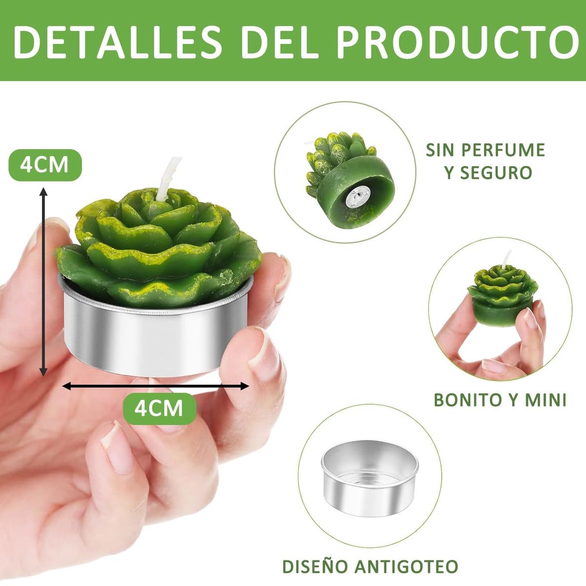 GENERICO - Juego De 12 Velas Cactus Suculentas para Regalos De Navidad