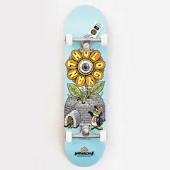 ANTHOLOGY - Tabla De Skate Armado 80