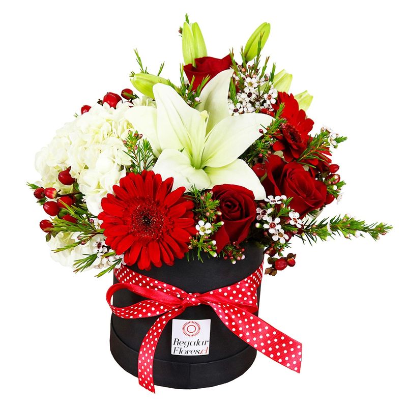 REGALAR FLORES - Caja Cilindro Mixta Hortensia Regalar Flores