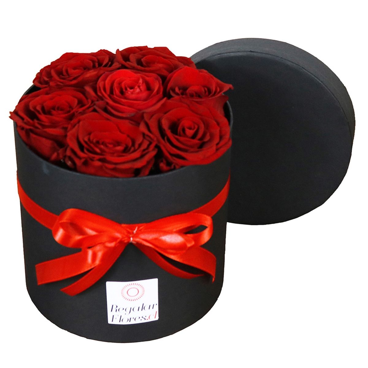 REGALAR FLORES - Caja Cilindro 7 Rosas Preservadas Regalar Flores
