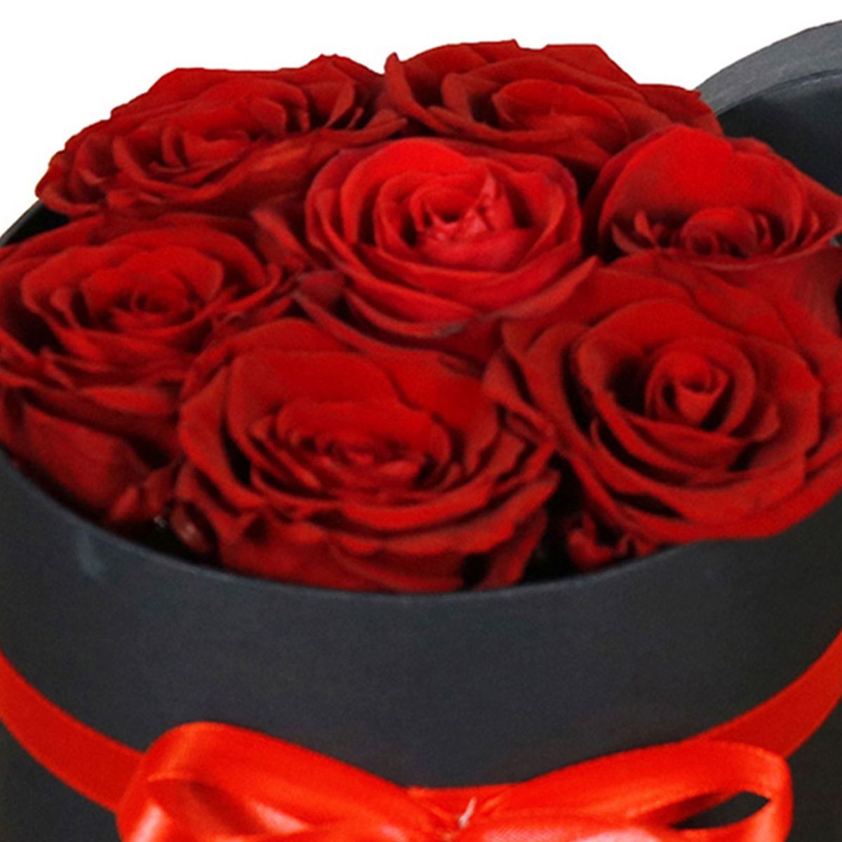 REGALAR FLORES - Caja Cilindro 7 Rosas Preservadas Regalar Flores