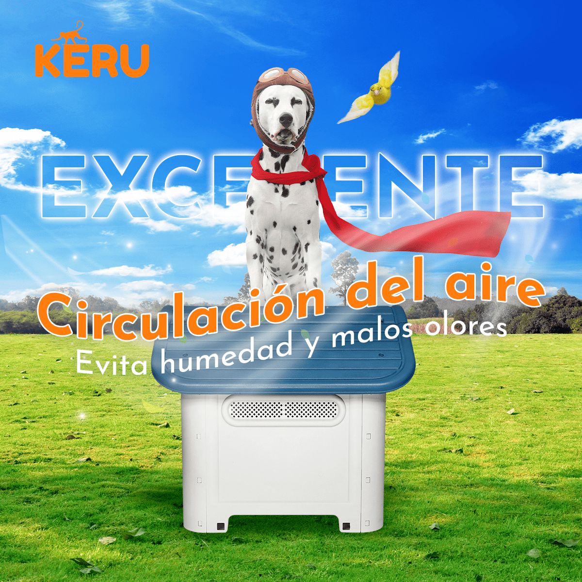 KERU - Casa para Perro con Ventana y Techo Azul