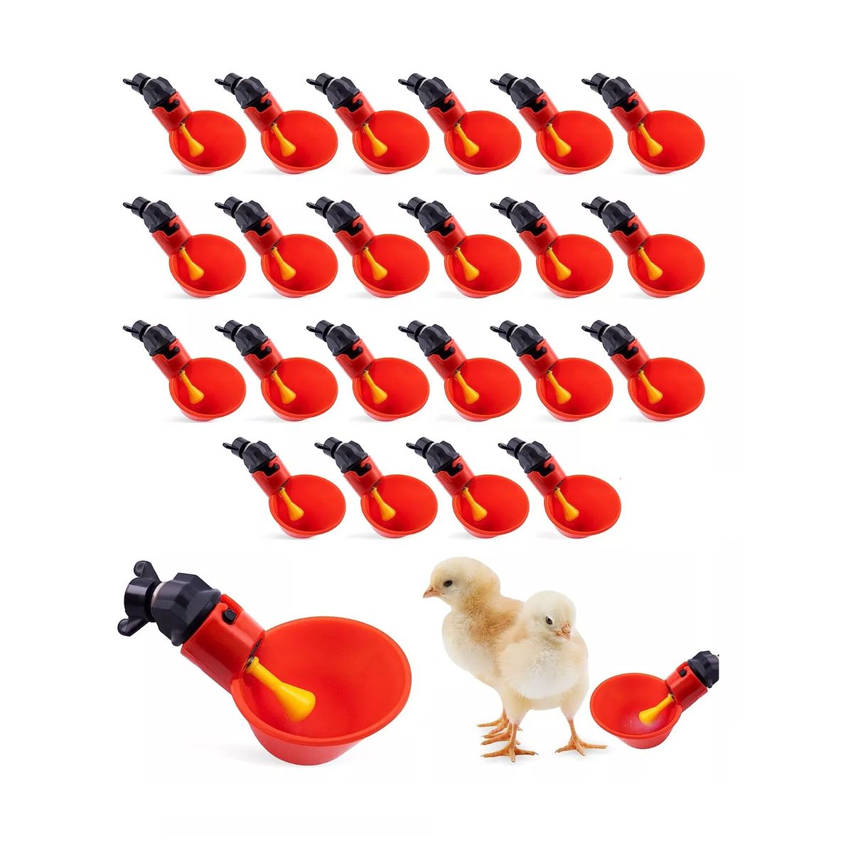 KINDA NICE - Bebedero Automático Para Codorniz Pollo Gallo 24 Uds