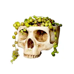 GENERICO - Macetero Craneo decorativo Blanco Colgante 15cm