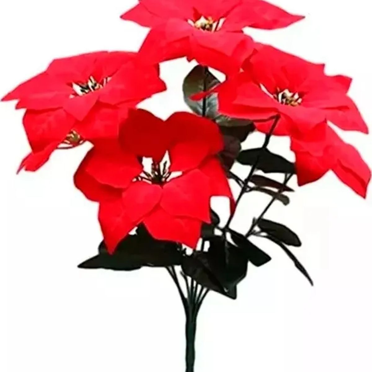 GENERICO - Pack Ramo Flor Navideña Con 5 Flores Medianas Navidad