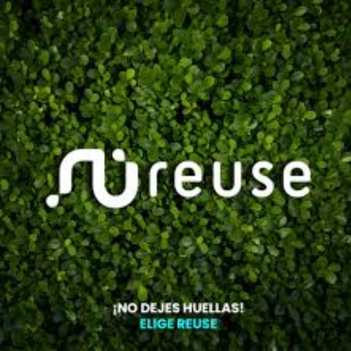 SPIGEN - Carcasa Spigen Crystal Hybrid Mag compatible con MagSafe para iPhone 13 Openbox