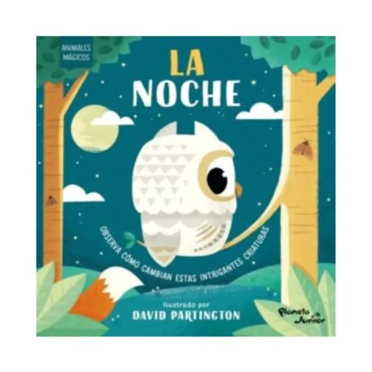 PLANETA JUNIOR - Animales Mágicos La Noche - Tapa Dura Planetajunior