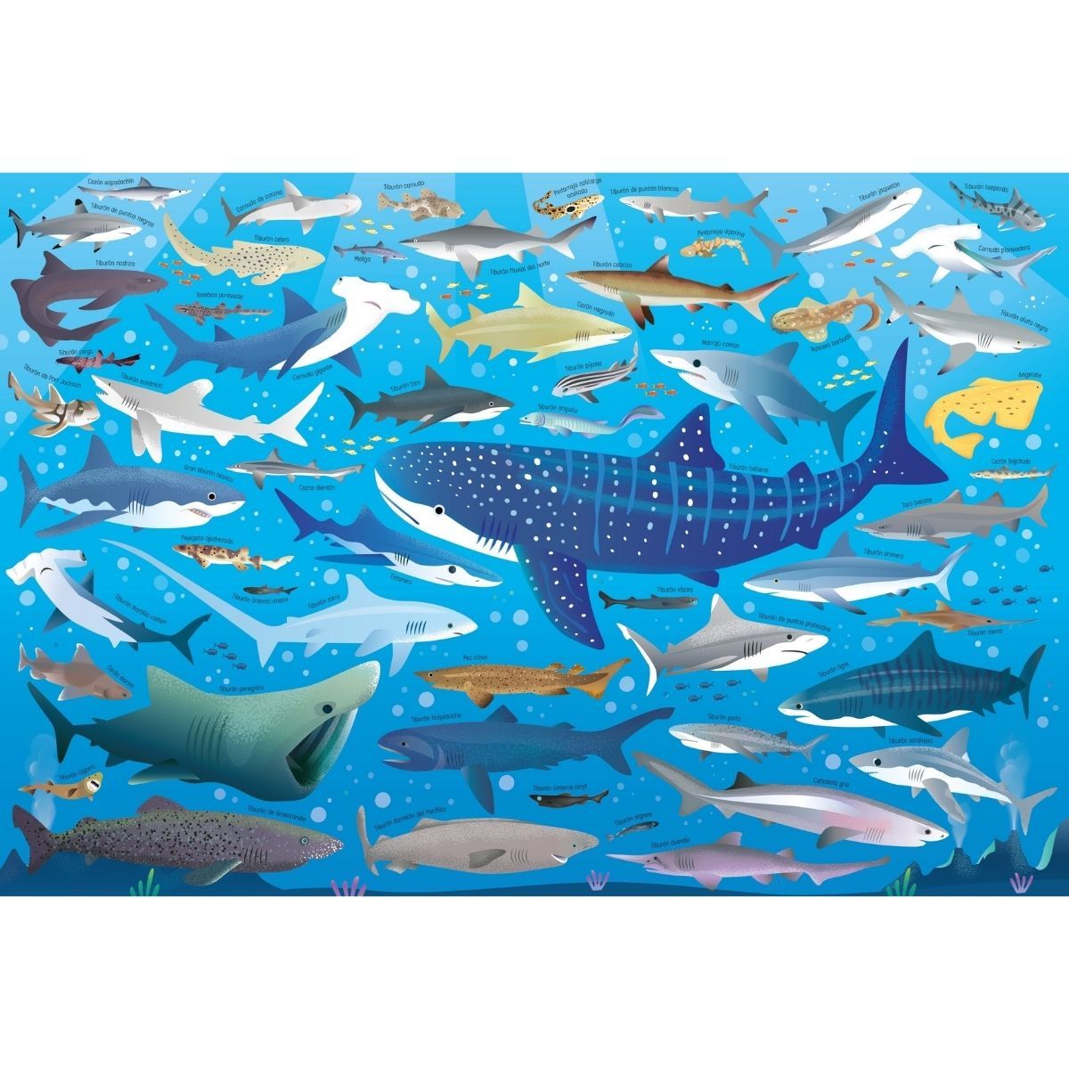 USBORNE - Tiburones de Editorial Usborne
