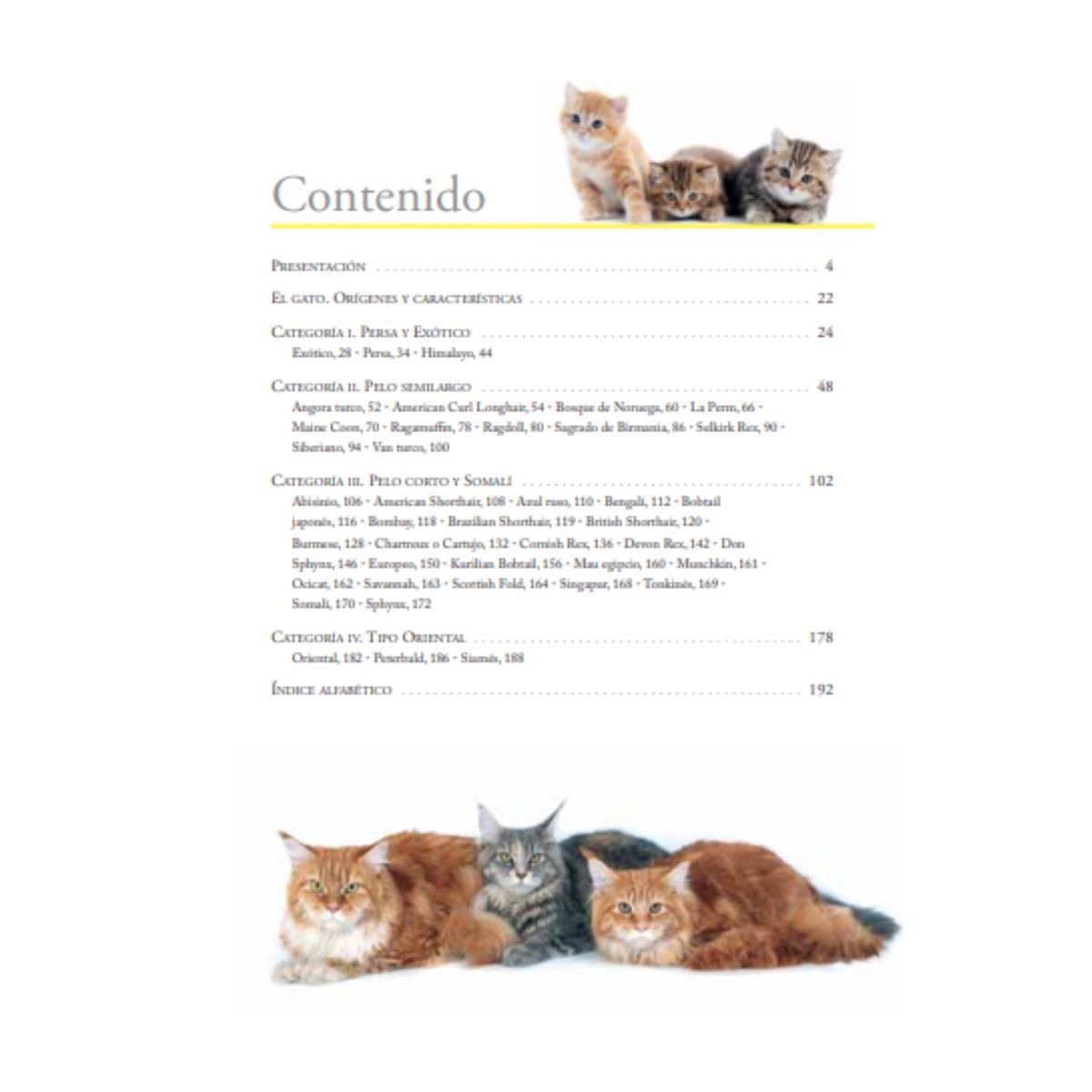 LIBSA - Enciclopedia de las razas de gatos