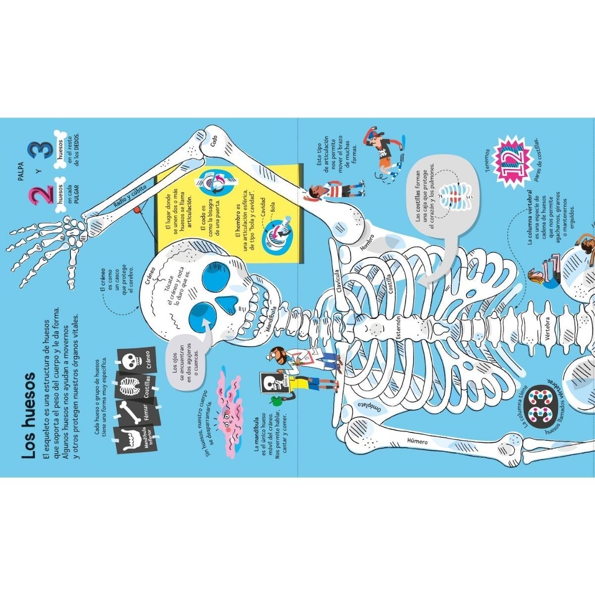 USBORNE - El gran libro del cuerpo humano