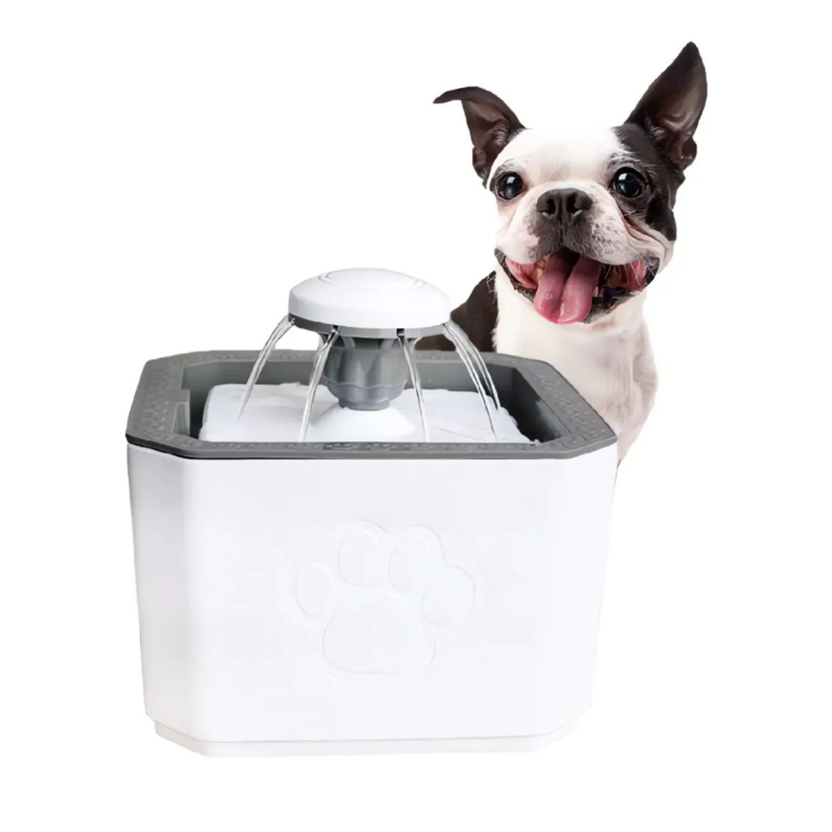 GENERICO - Bebedero Con Fuentes Para Perros  Gatos