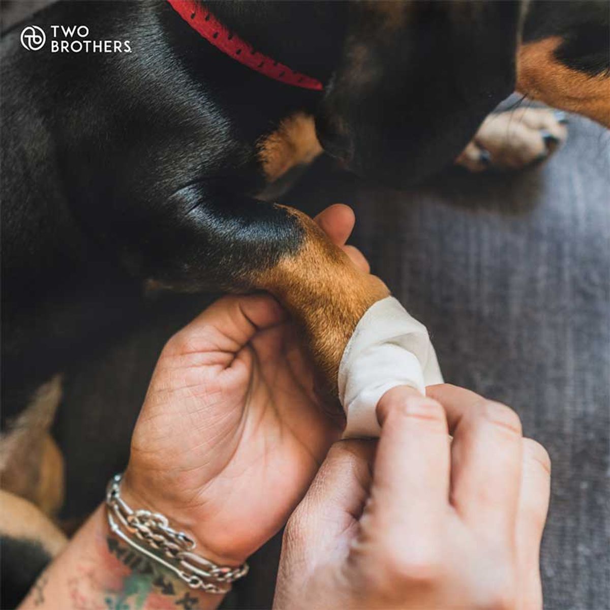 AMERICA LITTER - Toallitas Hipoalergénicas Two Brothers 40un