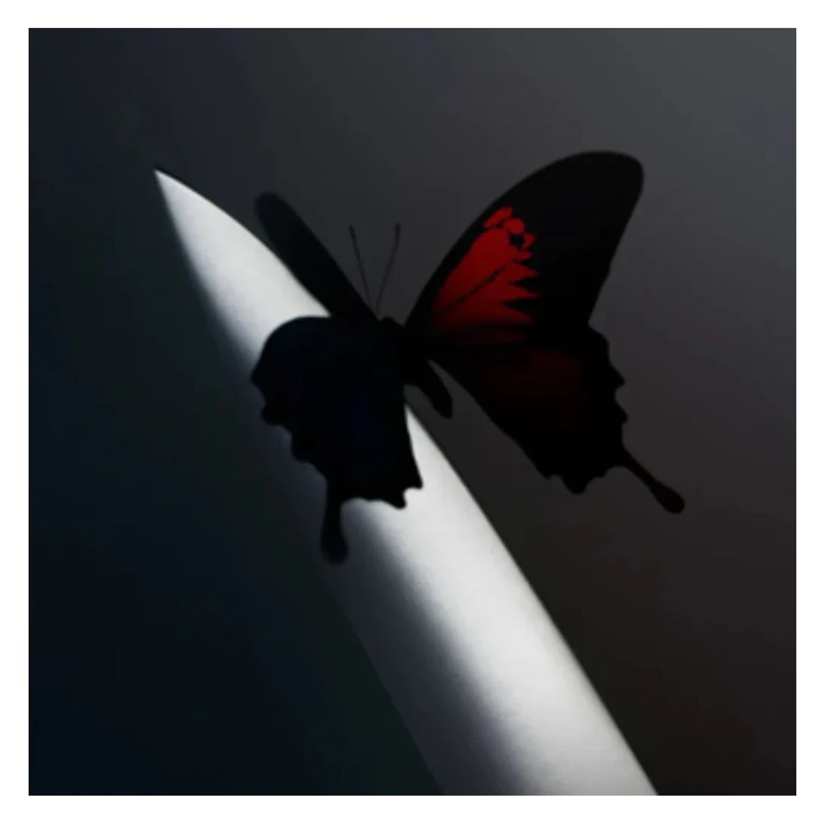 GRUPO LASER DISC - Vinilo Post Malone Twelve Carat Toothache 2LP