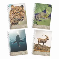 GREENNOTE - Cuaderno Triple 3 Materias Pack 4